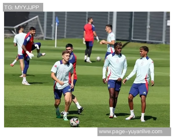 伊朗与西班牙足球对决分析及让球盘投注策略探讨