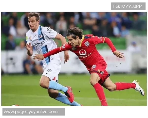 惠灵顿凤凰与墨尔本胜利比赛前瞻分析及胜负预测